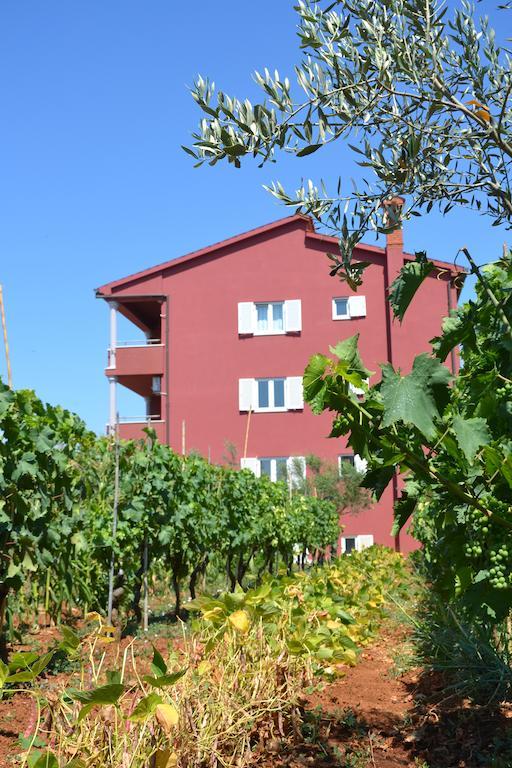 Apartments Roza 메덜린 객실 사진